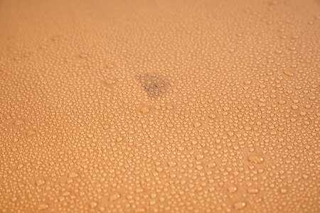Beer garden table sets with water drops on the surface of the wood.